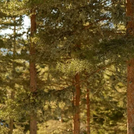 Hotel Pena D'agua Boutique & Covilha