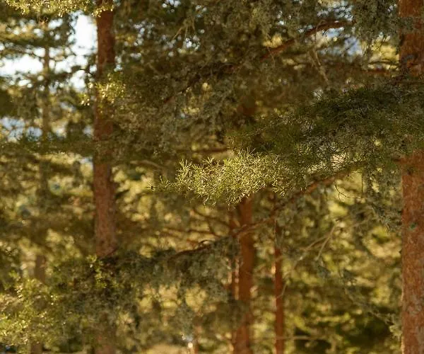 ホテル Pena D'agua Boutique & コビリャン